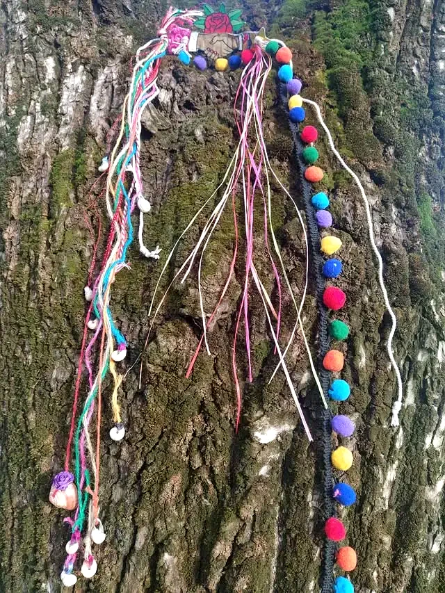 Dar la Lata